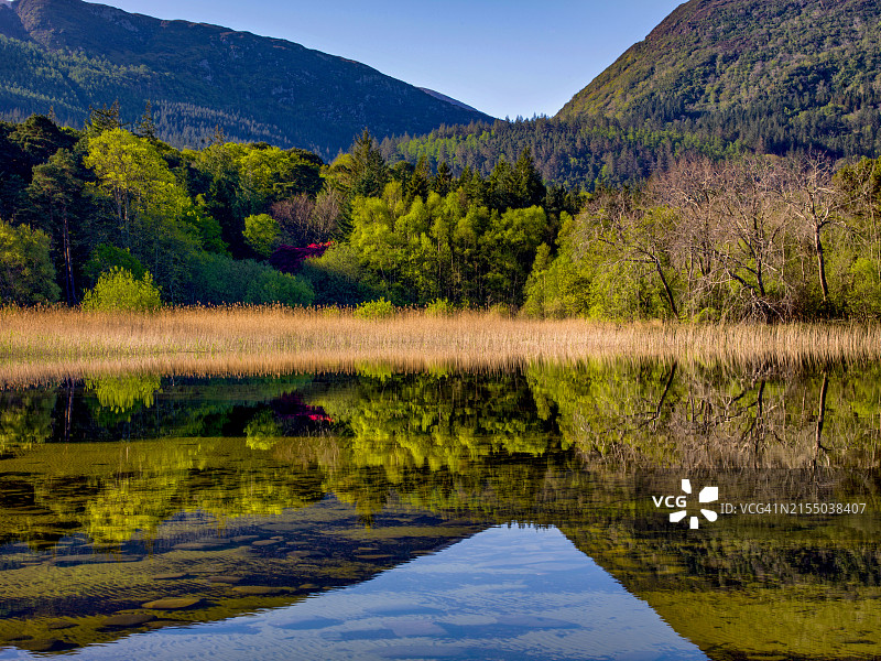 爱尔兰凯里郡，马克罗斯故居，莱恩湖上的春季倒影图片素材