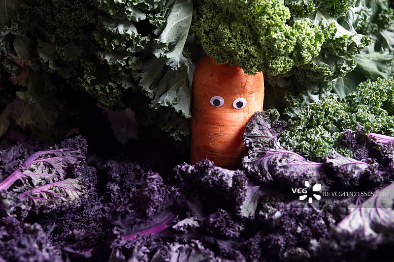 蔬菜特写，一根胡萝卜戴着卡通眼镜图片素材