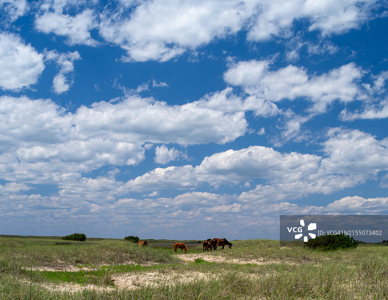北卡罗来纳州田野风光，美国图片素材