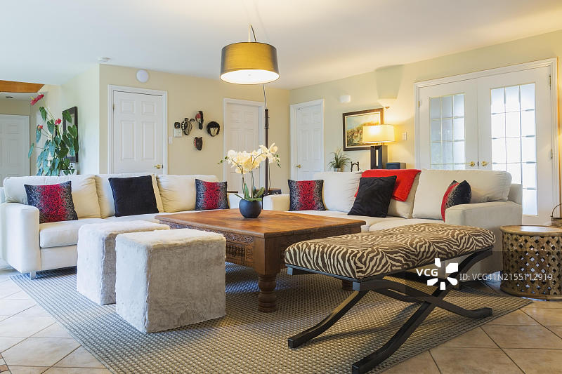 米色软垫沙发，配彩色靠垫、木制咖啡桌和斑马纹墩，位于加拿大魁北克豪华住宅内图片素材