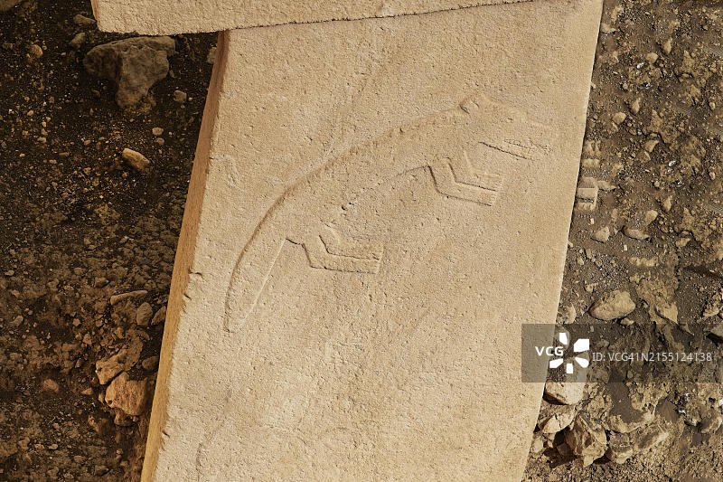 哥贝克力石阵：公元前1万年的新石器时代考古遗址，巨石柱上有野生动物的雕塑，位于土耳其尚勒乌尔法图片素材