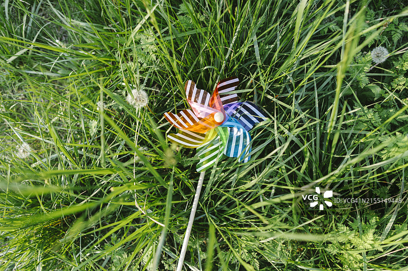 草地上的彩虹风车玩具图片素材