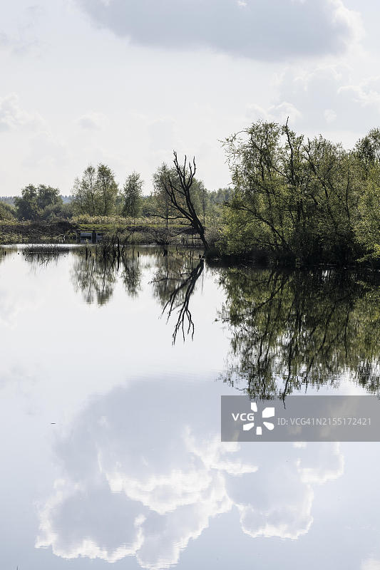 埃姆斯兰县荒地，下萨克森州，德国，欧洲图片素材