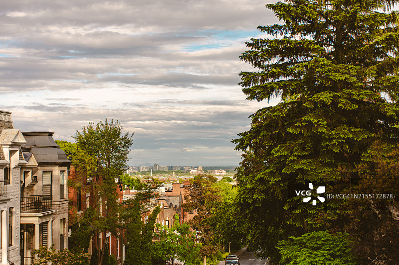 蒙特利尔被树木环绕的传统房屋图片素材