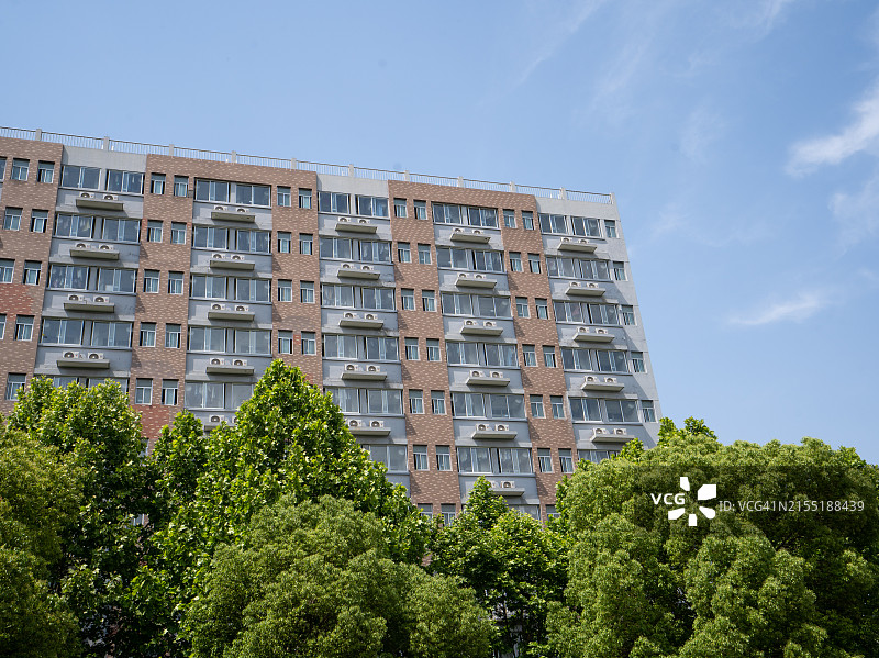 带树的公寓图片素材