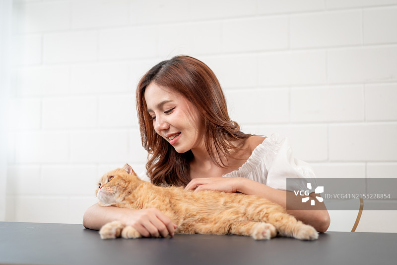 快乐的亚洲年轻女人在家逗猫玩。漂亮的女主人坐在桌旁，看起来很高兴放松，在客厅里花时间和宠物聊天图片素材