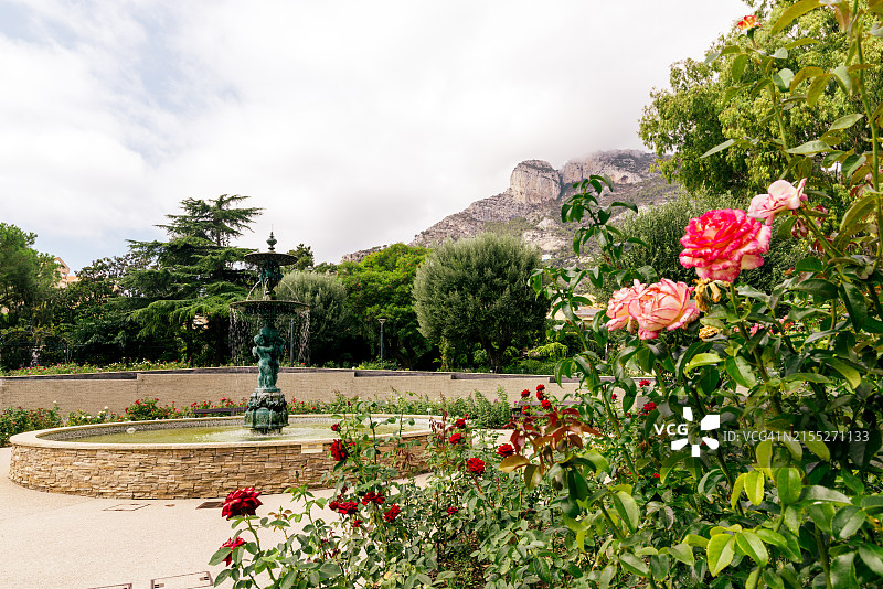 摩纳哥格蕾丝王妃玫瑰园的喷泉和玫瑰图片素材