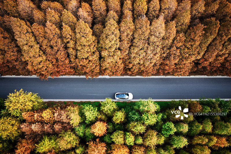 夏秋交汇的公路和停靠的汽车图片素材