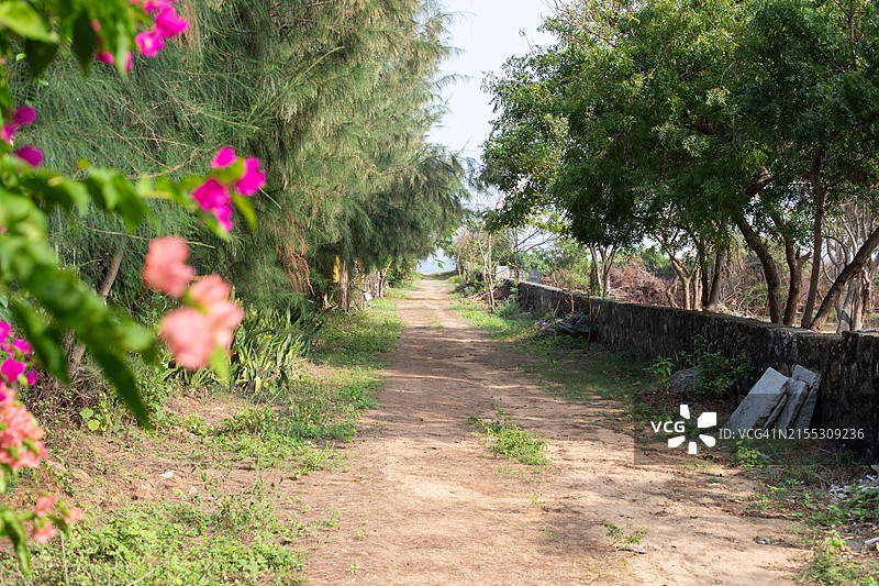 科瓦兰海滩摄影，通往海滩的路线图片素材