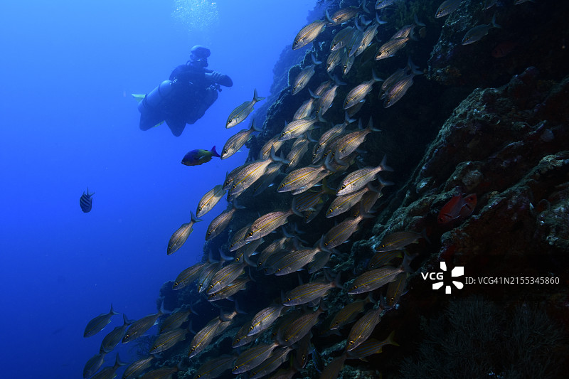 侧挂式潜水图片素材