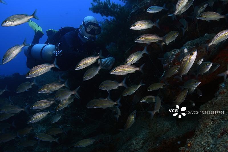侧挂式潜水图片素材