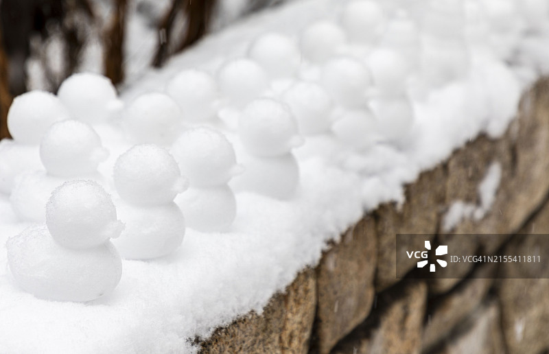 冬季雪景：大田洞公寓与积雪树木图片素材