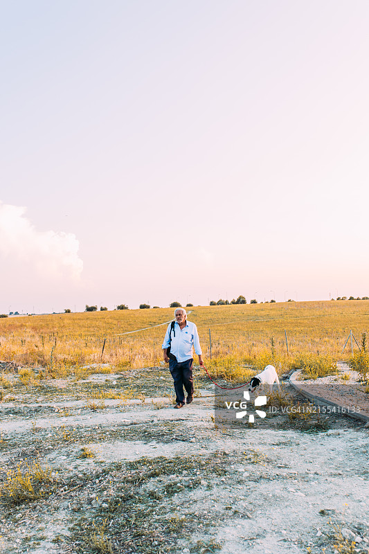 在乡村日落时分遛拉布拉多犬的年长男人图片素材