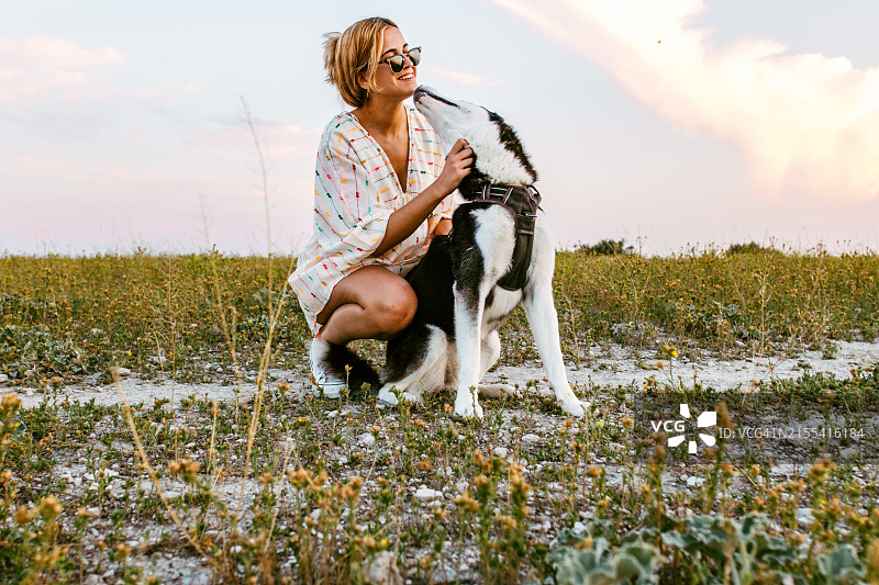 在乡村日落时分，哈士奇犬亲吻田野里的女主人图片素材