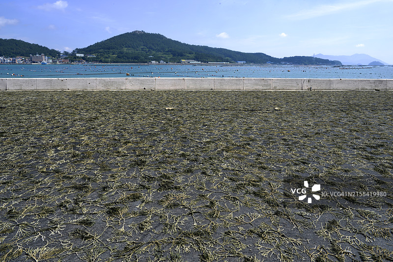 莞岛郡菩提岛，全罗南道图片素材