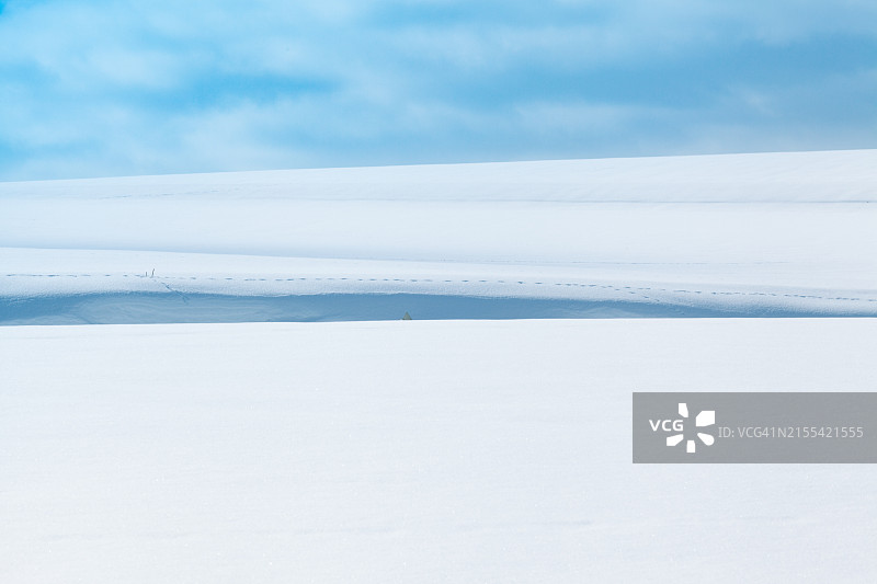 冬季北海道美瑛山丘日出雪山图片素材