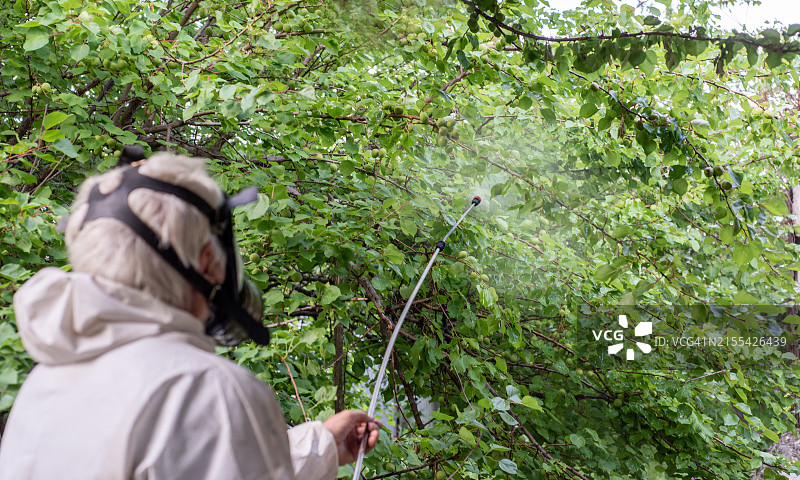 用喷雾器喷洒农药图片素材