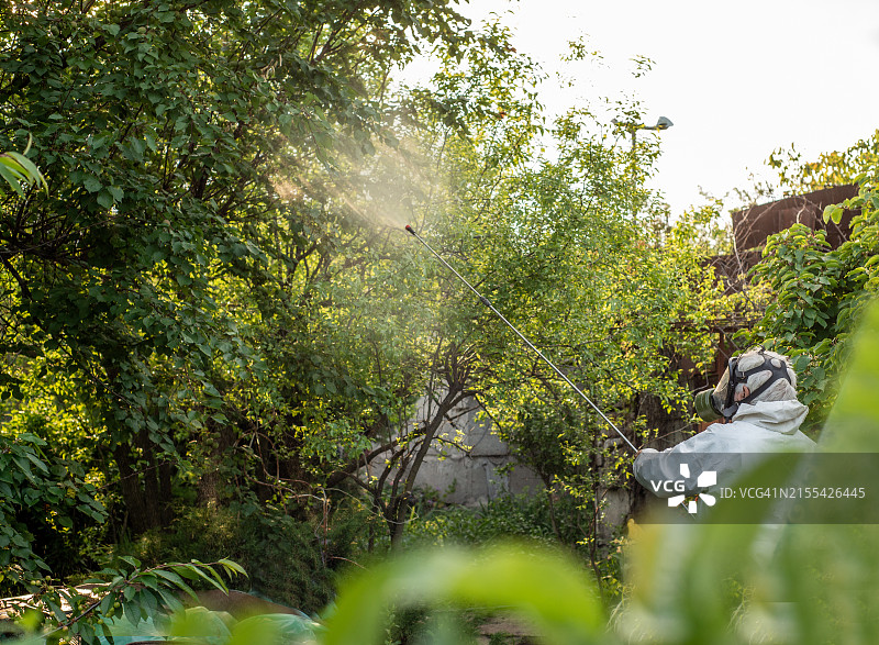 用喷雾器喷洒农药图片素材