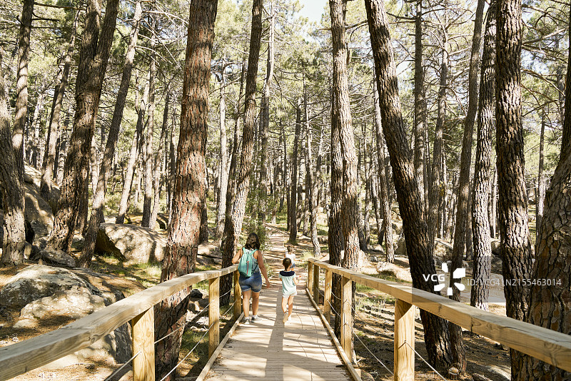 母女在宜人的夏日里徒步，穿过通往松树环绕森林的小路图片素材