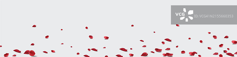 玫瑰花瓣透明背景矢量图图片素材