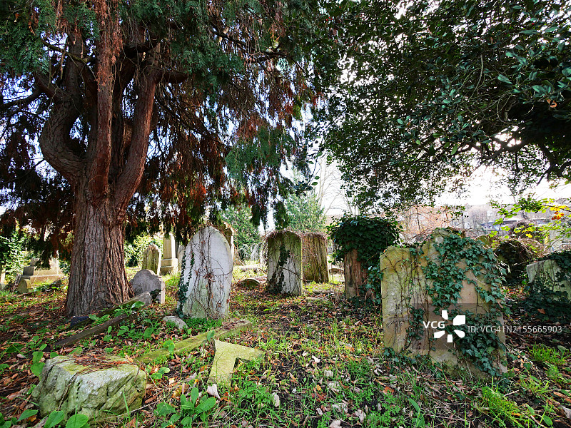 伦敦布朗普顿公墓的墓碑图片素材