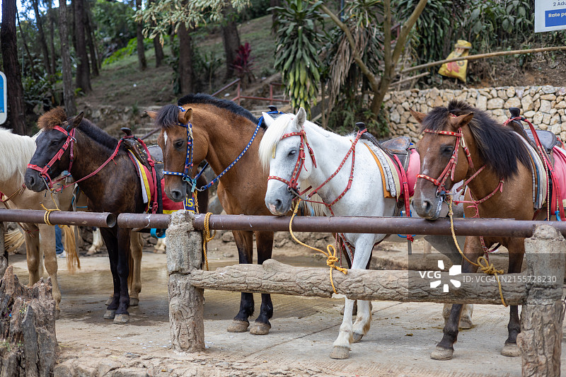菲律宾中央吕宋本格特省碧瑶市图片素材