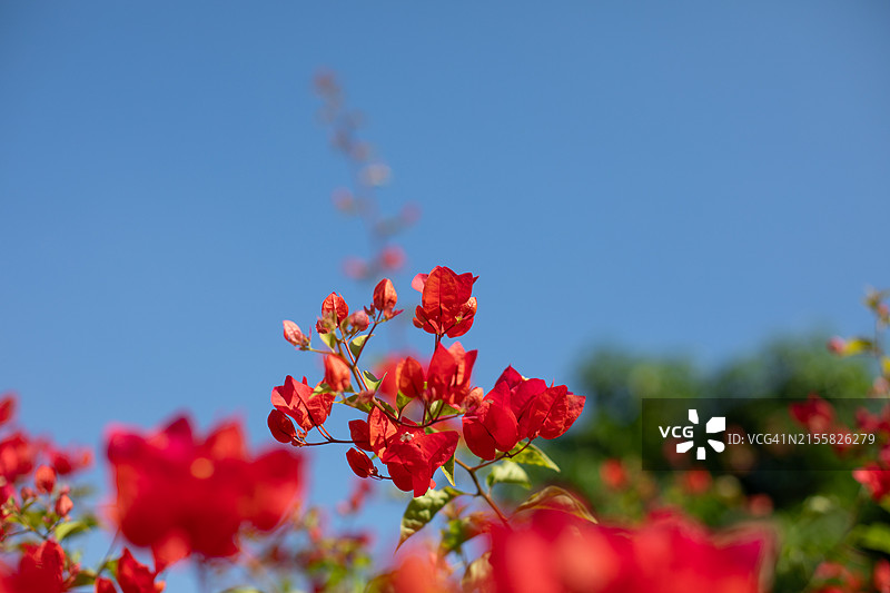 西班牙的活力图片素材