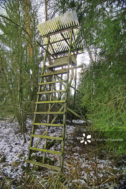 森林狩猎站图片素材