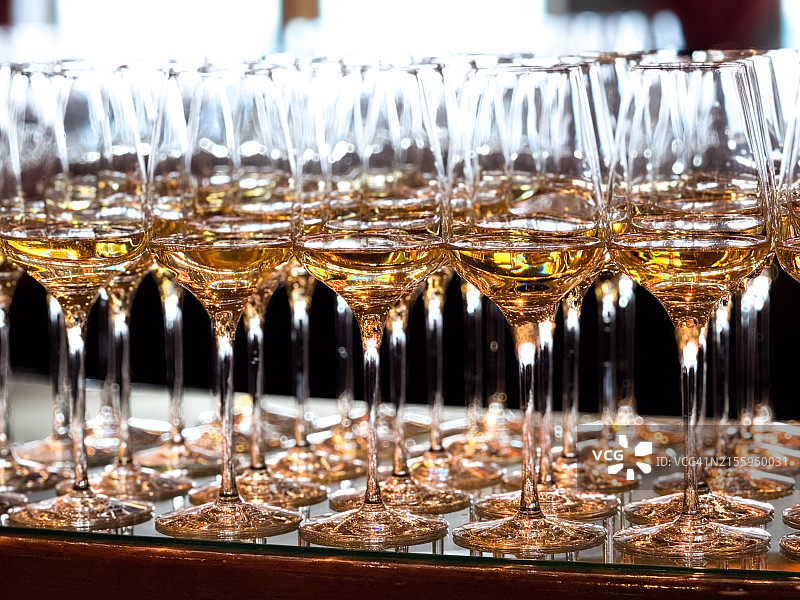品酒会上成排的白葡萄酒杯图片素材