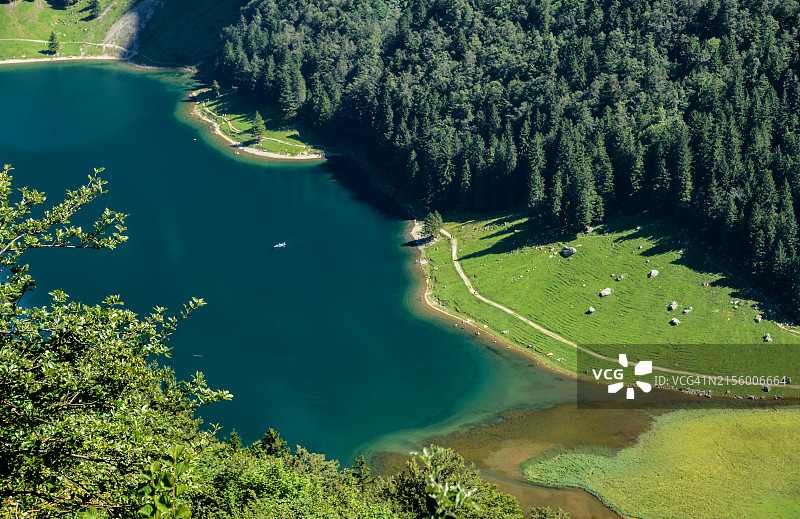瑞士Appenzell Innerrhoden Seealpsee湖泊和森林景观航拍图片素材