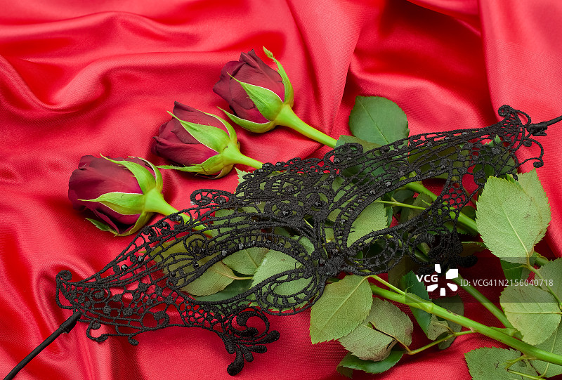 从高角度拍摄的英国植物上的蝴蝶图片素材