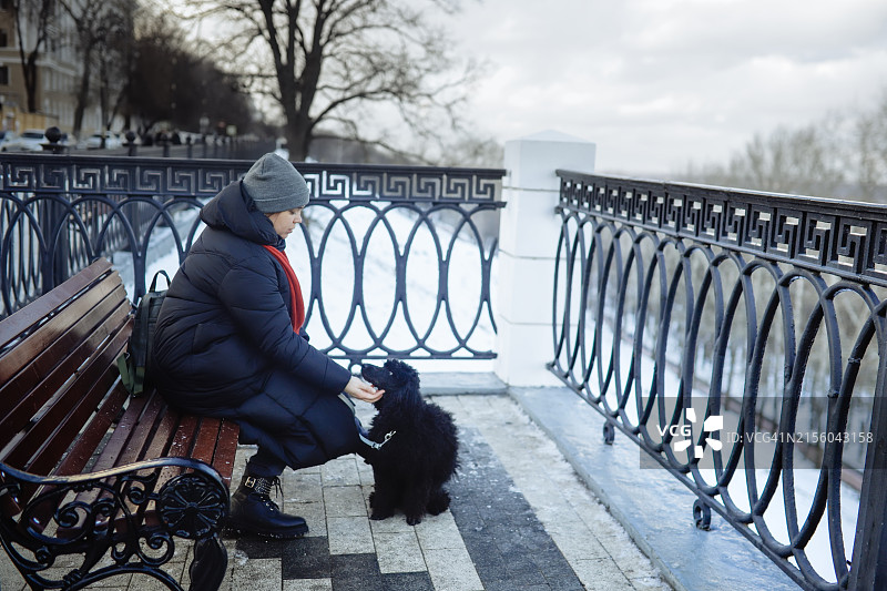 忧郁的冬天：坐在城市海滨长椅上的中年加大码女士和她的狗图片素材