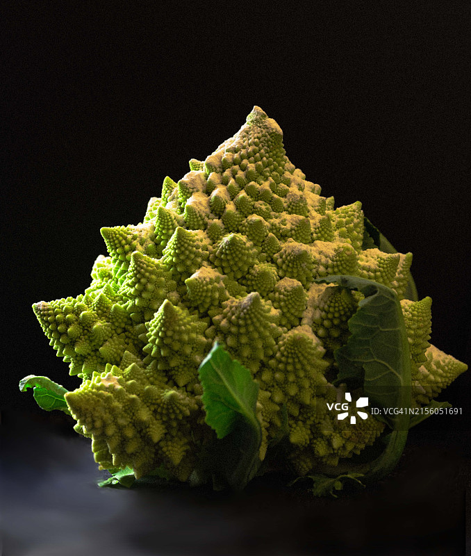 黑色背景上的西兰花特写图片素材