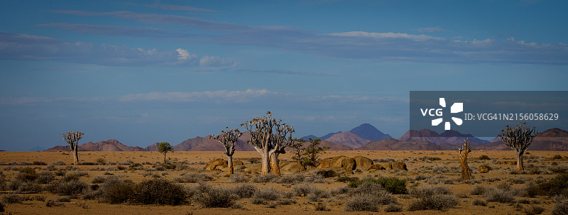 沙漠映衬天空的美景图片素材