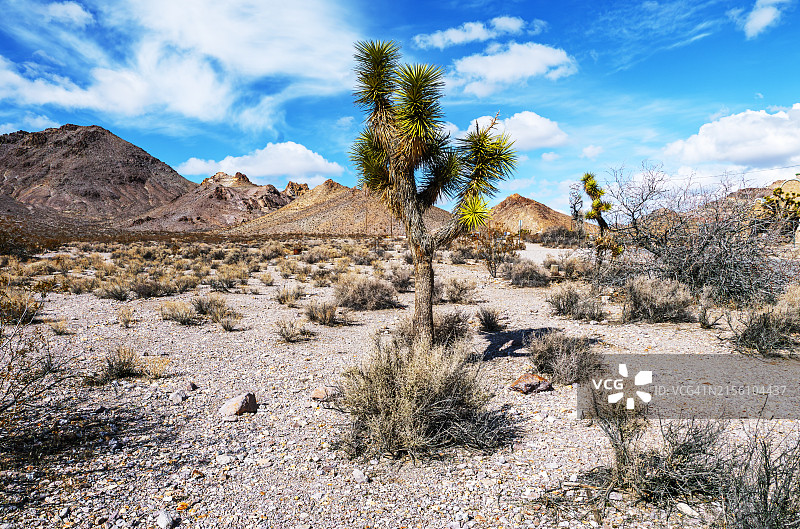 内华达州里奥莱特沙漠景观图片素材