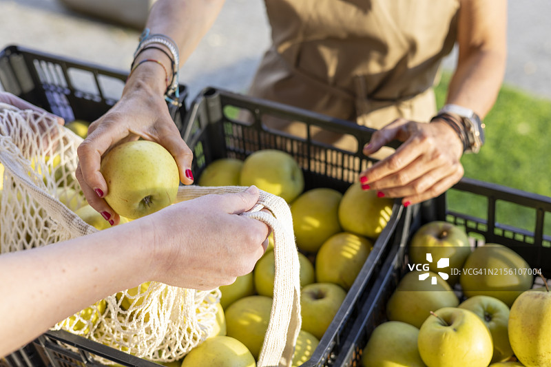销售有机苹果的小企业主图片素材