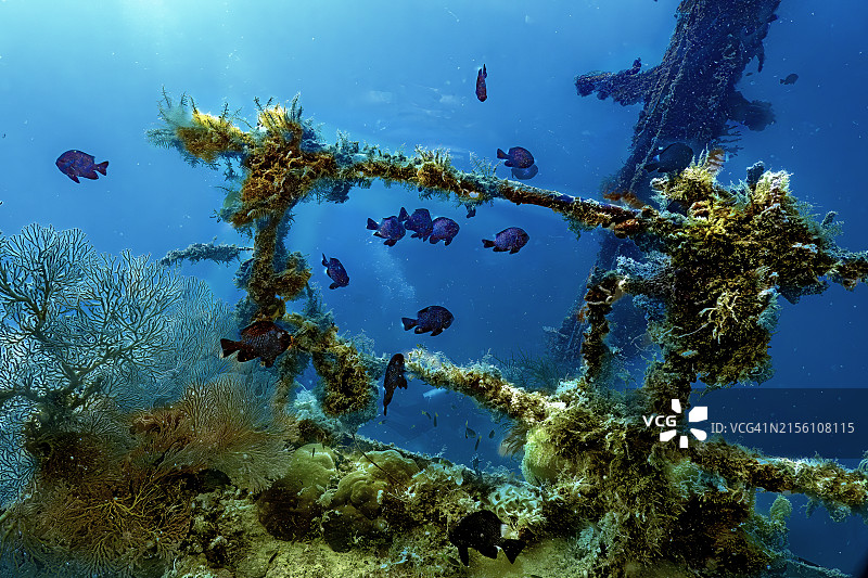 伊罗丸号二战沉船图片素材