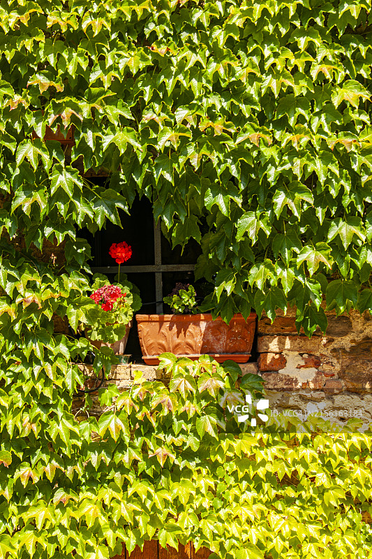 托斯卡纳贝尔福特村庄的细节图片素材