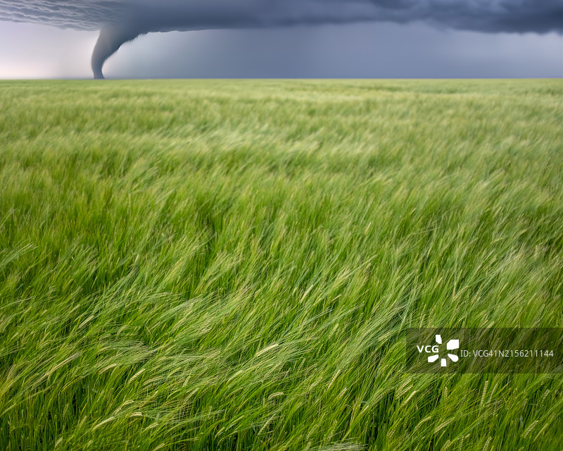 美国堪萨斯州的田野风光图片素材