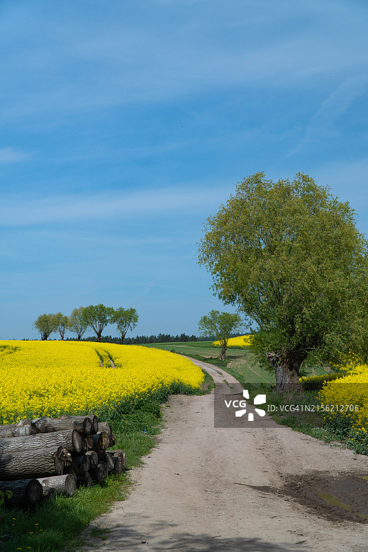 天空衬托下的田野风景图片素材