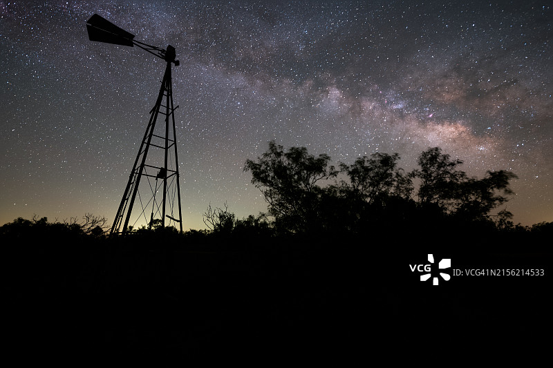 夜晚美国德克萨斯州夸纳的树木轮廓图片素材