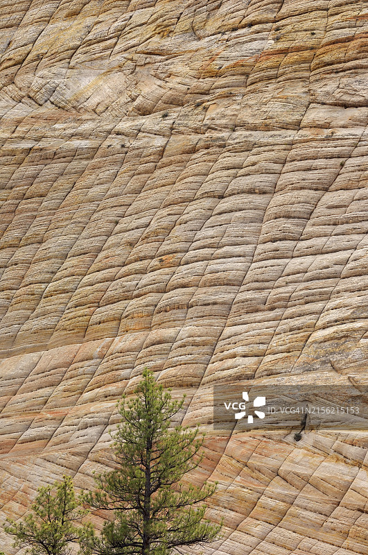 美国犹他州锡安国家公园的棋盘台地特写图片素材