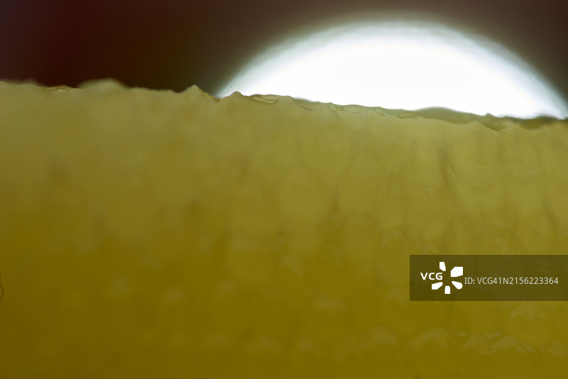 鲜艳的柠檬精华图片素材