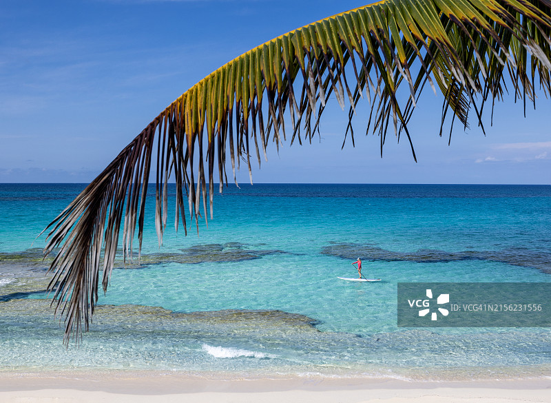 女人在埃克苏马斯托金岛划桨经过叠层石和棕榈树图片素材