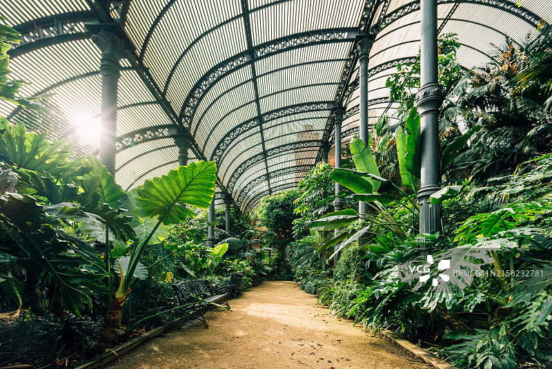 阳光穿过巴塞罗那城堡公园热带温室屋顶图片素材