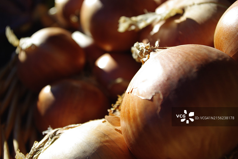 农业的纹理与形态图片素材