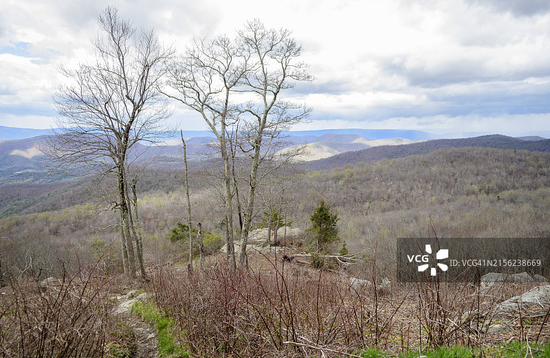 弗吉尼亚州雪兰多国家公园天际线公路的雪兰多山谷壮丽景色图片素材