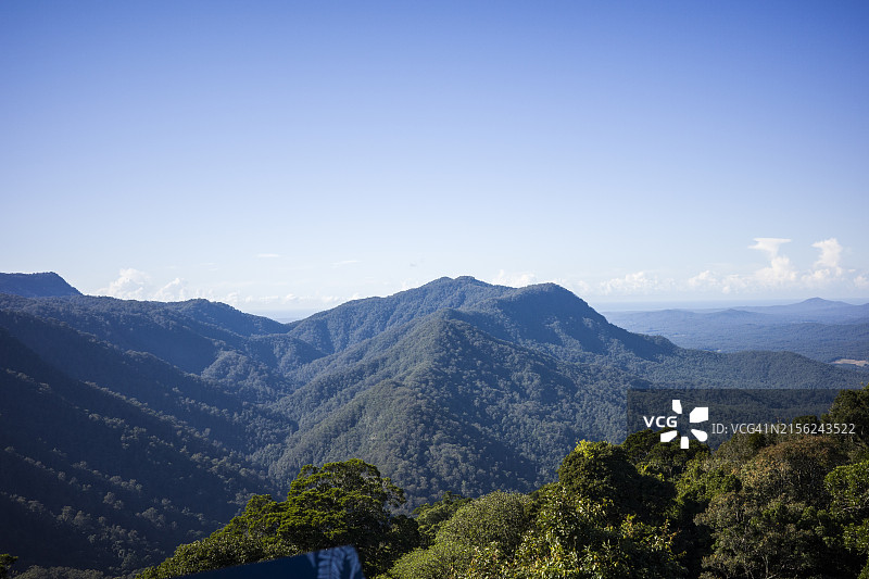 多里戈热带雨林国家公园山景，澳大利亚蓝山山谷图片素材