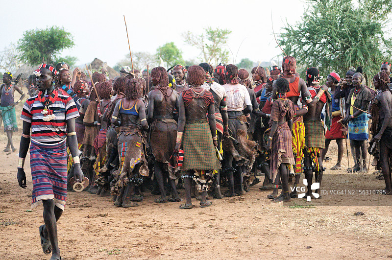 埃塞俄比亚哈默族妇女跳牛仪式图片素材