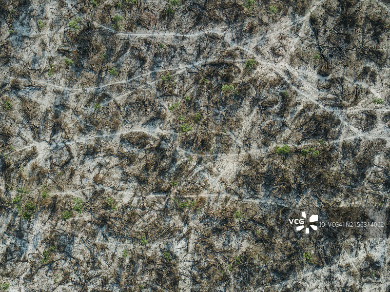 澳大利亚西澳大利亚州八十英里海滩干燥景观无人机航拍照片图片素材